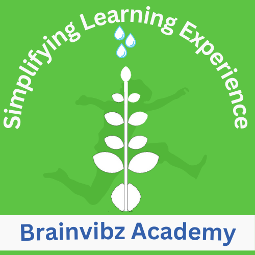 Brainvibz Academy